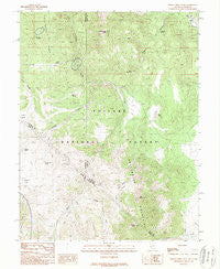 Desert Creek Peak Nevada Historical topographic map, 1:24000 scale, 7.5 X 7.5 Minute, Year 1988