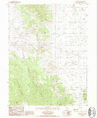 Devon Peak Nevada Historical topographic map, 1:24000 scale, 7.5 X 7.5 Minute, Year 1986