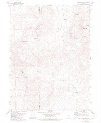 Division Peak Nevada Historical topographic map, 1:24000 scale, 7.5 X 7.5 Minute, Year 1980