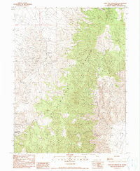 Dixie Hot Springs NE Nevada Historical topographic map, 1:24000 scale, 7.5 X 7.5 Minute, Year 1990