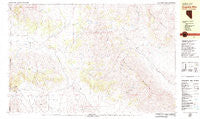 Dogskin Mtn Nevada Historical topographic map, 1:25000 scale, 7.5 X 15 Minute, Year 1979