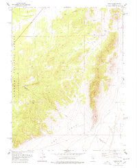 Douglas Nevada Historical topographic map, 1:24000 scale, 7.5 X 7.5 Minute, Year 1978