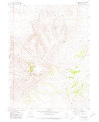 Dry Mountain Nevada Historical topographic map, 1:24000 scale, 7.5 X 7.5 Minute, Year 1980