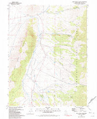 Duck Creek Valley Nevada Historical topographic map, 1:24000 scale, 7.5 X 7.5 Minute, Year 1981
