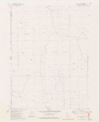 Duck Lake Nevada Historical topographic map, 1:24000 scale, 7.5 X 7.5 Minute, Year 1979