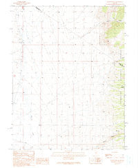 Duckwater NE Nevada Historical topographic map, 1:24000 scale, 7.5 X 7.5 Minute, Year 1990