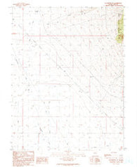 Duckwater SE Nevada Historical topographic map, 1:24000 scale, 7.5 X 7.5 Minute, Year 1990