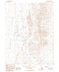 Duckwater Nevada Historical topographic map, 1:24000 scale, 7.5 X 7.5 Minute, Year 1990