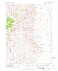 Duffer Peak Nevada Historical topographic map, 1:62500 scale, 15 X 15 Minute, Year 1965