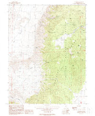 Ellsworth Nevada Historical topographic map, 1:24000 scale, 7.5 X 7.5 Minute, Year 1988