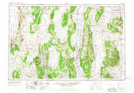 Ely Nevada Historical topographic map, 1:250000 scale, 1 X 2 Degree, Year 1956