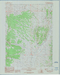 Emigrant Springs Nevada Historical topographic map, 1:24000 scale, 7.5 X 7.5 Minute, Year 1989