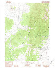 Exchequer Spring Nevada Historical topographic map, 1:24000 scale, 7.5 X 7.5 Minute, Year 1982