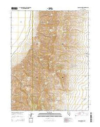 Fagin Mountain Nevada Current topographic map, 1:24000 scale, 7.5 X 7.5 Minute, Year 2014