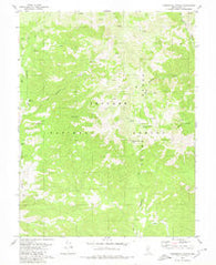 Farrington Canyon Nevada Historical topographic map, 1:24000 scale, 7.5 X 7.5 Minute, Year 1980