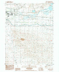 Fernley East Nevada Historical topographic map, 1:24000 scale, 7.5 X 7.5 Minute, Year 1985