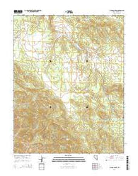 Fife Mountain Nevada Current topographic map, 1:24000 scale, 7.5 X 7.5 Minute, Year 2014