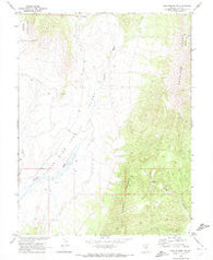 Fish Springs NE Nevada Historical topographic map, 1:24000 scale, 7.5 X 7.5 Minute, Year 1968
