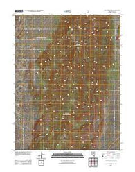 Fish Springs SE Nevada Historical topographic map, 1:24000 scale, 7.5 X 7.5 Minute, Year 2012