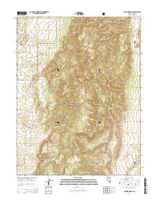 Fish Springs SE Nevada Current topographic map, 1:24000 scale, 7.5 X 7.5 Minute, Year 2014
