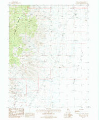 Fisher Canyon Nevada Historical topographic map, 1:24000 scale, 7.5 X 7.5 Minute, Year 1987