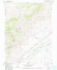 Flowery Peak Nevada Historical topographic map, 1:24000 scale, 7.5 X 7.5 Minute, Year 1967