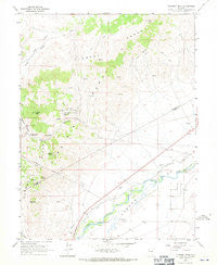 Flowery Peak Nevada Historical topographic map, 1:24000 scale, 7.5 X 7.5 Minute, Year 1967