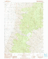Fondaway Canyon Nevada Historical topographic map, 1:24000 scale, 7.5 X 7.5 Minute, Year 1990