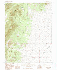 Forest Home NE Nevada Historical topographic map, 1:24000 scale, 7.5 X 7.5 Minute, Year 1990