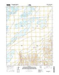 Foxtail Lake Nevada Current topographic map, 1:24000 scale, 7.5 X 7.5 Minute, Year 2015