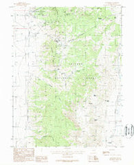 Grantsville Nevada Historical topographic map, 1:24000 scale, 7.5 X 7.5 Minute, Year 1988