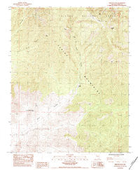 Griffith Peak Nevada Historical topographic map, 1:24000 scale, 7.5 X 7.5 Minute, Year 1984