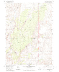 Hardscrabble Nevada Historical topographic map, 1:24000 scale, 7.5 X 7.5 Minute, Year 1980