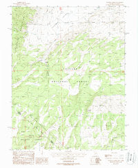 Huntoon Spring Nevada Historical topographic map, 1:24000 scale, 7.5 X 7.5 Minute, Year 1988