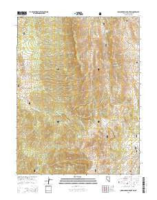 Indian Garden Mountain Nevada Current topographic map, 1:24000 scale, 7.5 X 7.5 Minute, Year 2014