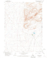 Izzenhood Ranch Nevada Historical topographic map, 1:24000 scale, 7.5 X 7.5 Minute, Year 1965