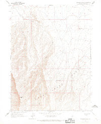 Izzenhood Spring Nevada Historical topographic map, 1:24000 scale, 7.5 X 7.5 Minute, Year 1965