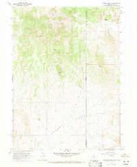 Jackson Spring Nevada Historical topographic map, 1:24000 scale, 7.5 X 7.5 Minute, Year 1967