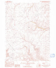 Jordan Meadow Mountain Nevada Historical topographic map, 1:24000 scale, 7.5 X 7.5 Minute, Year 1991