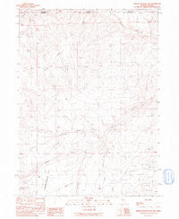 Jordan Meadow NW Nevada Historical topographic map, 1:24000 scale, 7.5 X 7.5 Minute, Year 1991