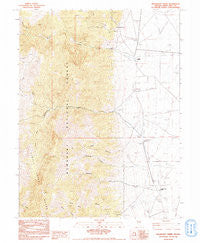 Kalamazoo Creek Nevada Historical topographic map, 1:24000 scale, 7.5 X 7.5 Minute, Year 1982