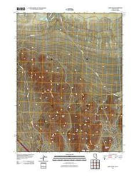 Leppy Peak Nevada Historical topographic map, 1:24000 scale, 7.5 X 7.5 Minute, Year 2011