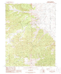 Lucky Boy Nevada Historical topographic map, 1:24000 scale, 7.5 X 7.5 Minute, Year 1989