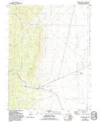 Majors Place Nevada Historical topographic map, 1:24000 scale, 7.5 X 7.5 Minute, Year 1981
