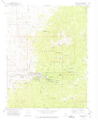 Manhattan Nevada Historical topographic map, 1:24000 scale, 7.5 X 7.5 Minute, Year 1971
