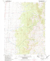 Mattier Creek Nevada Historical topographic map, 1:24000 scale, 7.5 X 7.5 Minute, Year 1982