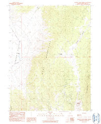 Mooney Basin Summit Nevada Historical topographic map, 1:24000 scale, 7.5 X 7.5 Minute, Year 1990