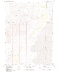 Mormon Dan Peak Nevada Historical topographic map, 1:24000 scale, 7.5 X 7.5 Minute, Year 1980