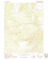 Mormon Jack Pass Nevada Historical topographic map, 1:24000 scale, 7.5 X 7.5 Minute, Year 1986