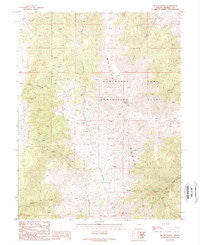 Mount Grant Nevada Historical topographic map, 1:24000 scale, 7.5 X 7.5 Minute, Year 1989